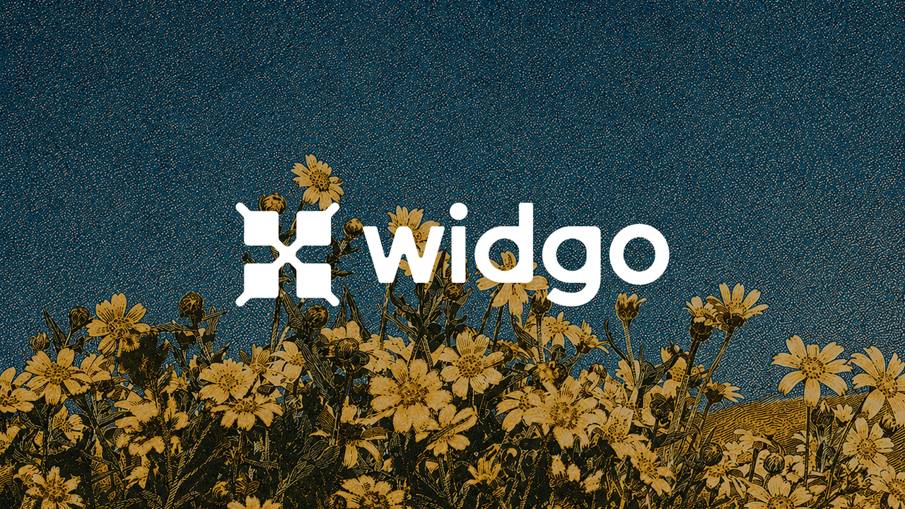 Widgo 界面截图，第 1 张