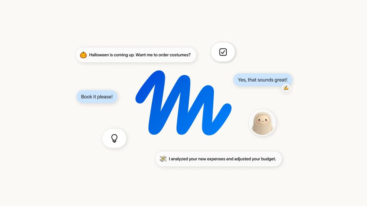 Muse 界面截图，第 1 张