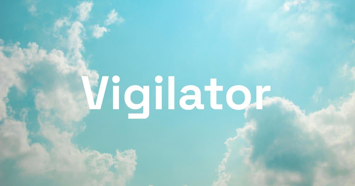 Vigilator 界面截图，第 1 张