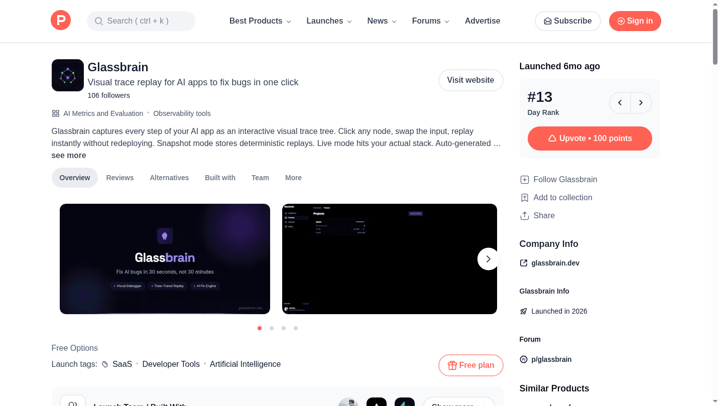 Glassbrain 界面截图，第 1 张